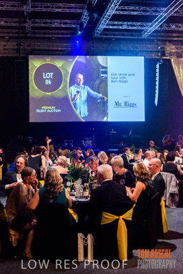 PYB_BALL_81E1135_lrp