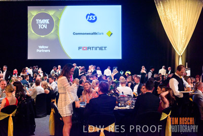 PYB_BALL_81E1138_lrp