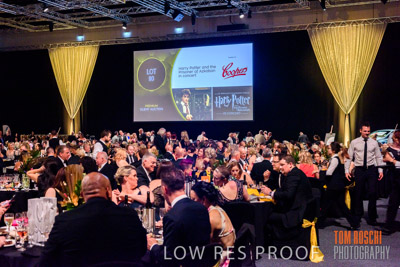 PYB_BALL_81E1141_lrp