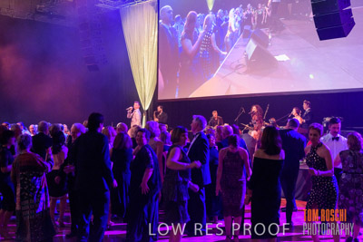 PYB_BALL_81E1191_lrp