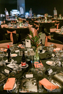 PYB_BALL_85E1192_lrp