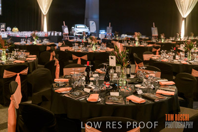 PYB_BALL_85E1194_lrp