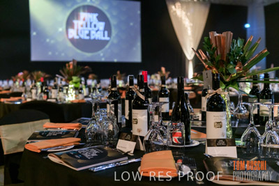 PYB_BALL_85E1206_lrp