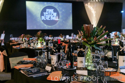 PYB_BALL_85E1210_lrp