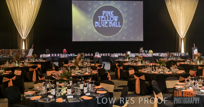 PYB_BALL_85E1211_lrp