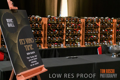 PYB_BALL_85E1220_lrp