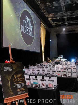 PYB_BALL_85E1225_lrp