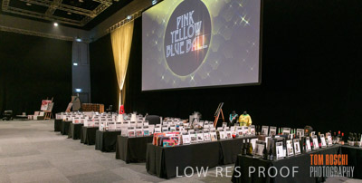 PYB_BALL_85E1240_lrp