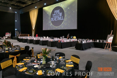 PYB_BALL_85E1242_lrp