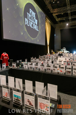 PYB_BALL_85E1246_lrp