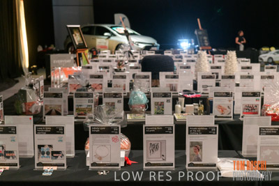 PYB_BALL_85E1249_lrp