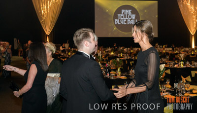 PYB_BALL_85E1256_lrp