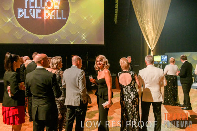 PYB_BALL_85E1310_lrp