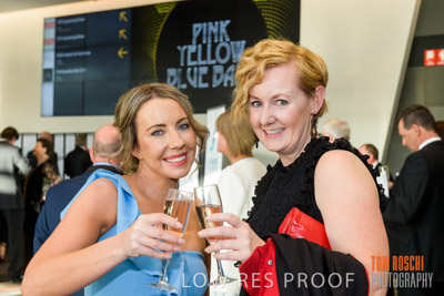 PYB_BALL_85E1427_lrp