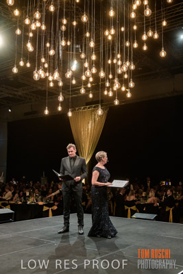 PYB_BALL_85E1694_lrp