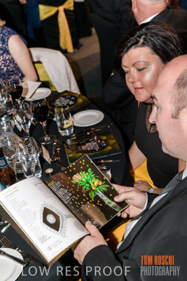 PYB_BALL_85E1717_lrp