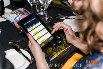 PYB_BALL_85E1729_lrp