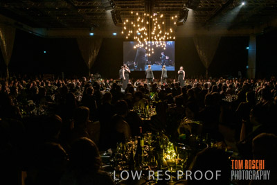 PYB_BALL_85E1960_lrp