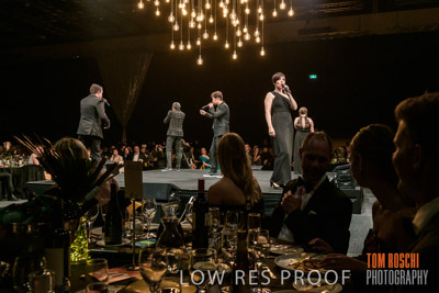 PYB_BALL_85E1965_lrp