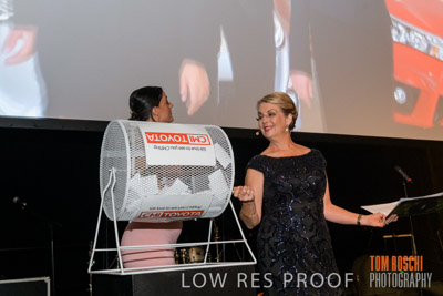 PYB_BALL_85E3146_lrp