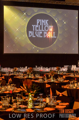 PYB_BALL_D4E0189_lrp