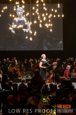 PYB_BALL_D4E0363_lrp