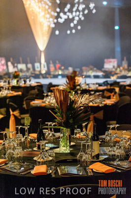 PYB_BALL_DSC5788_lrp