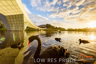 June 2017 / TORRENS_FOOTBRIDGE_114_170625
