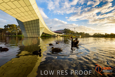 June 2017 / TORRENS_FOOTBRIDGE_122_170625