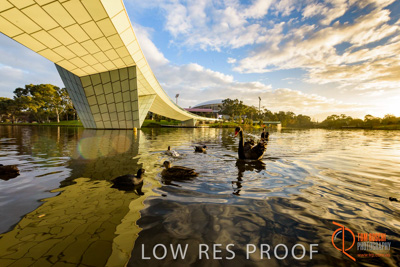 June 2017 / TORRENS_FOOTBRIDGE_124_170625