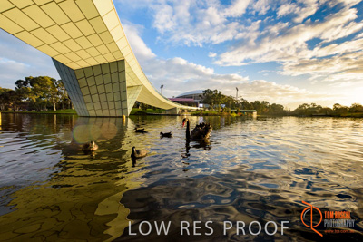 June 2017 / TORRENS_FOOTBRIDGE_137_170625
