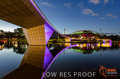 June 2017 / TORRENS_FOOTBRIDGE_NIGHT_AD_OVAL_024_170625