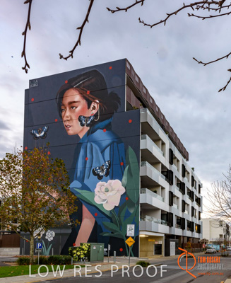 July 2017 / BOWDEN_018_170706