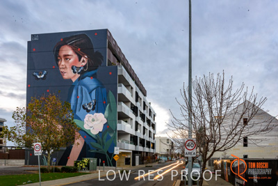 July 2017 / BOWDEN_020_170706