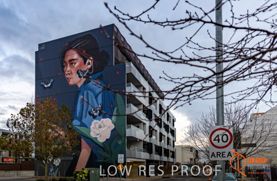 July 2017 / BOWDEN_022_170706