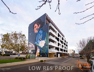 July 2017 / BOWDEN_047_170706