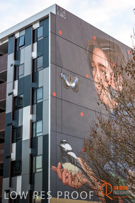 July 2017 / BOWDEN_077_170706