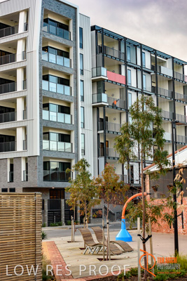 July 2017 / BOWDEN_246_170706