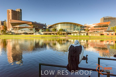 July 2017 / AD_RIVER_TORRENS_094_170710