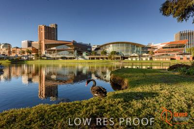 July 2017 / AD_RIVER_TORRENS_138_170710
