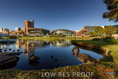 July 2017 / AD_RIVER_TORRENS_177_170710