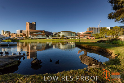 July 2017 / AD_RIVER_TORRENS_180_170710