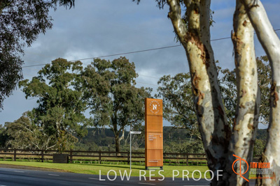 July 2017 / NEWENHAM_MT_BARKER_092_170714