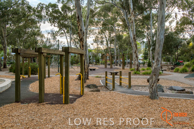 October 2017 / WATTLE_PK_005_171004