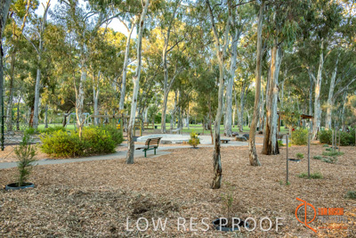 December 2017 / WATTLE_PK_028_171205