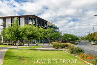 December 2017 / LIGHTSVIEW_004_171209