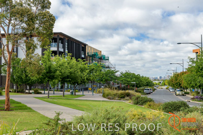 December 2017 / LIGHTSVIEW_007_171209