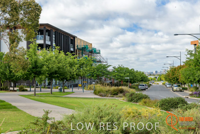 December 2017 / LIGHTSVIEW_013_171209