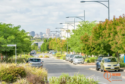 December 2017 / LIGHTSVIEW_019_171209