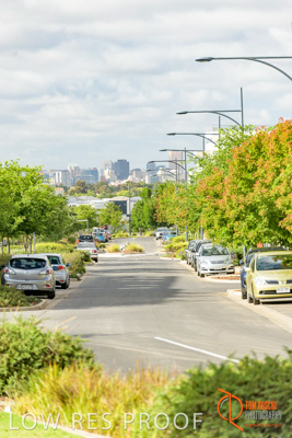 December 2017 / LIGHTSVIEW_028_171209